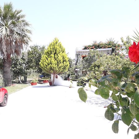 Punta Studios Dimitris المظهر الخارجي الصورة
