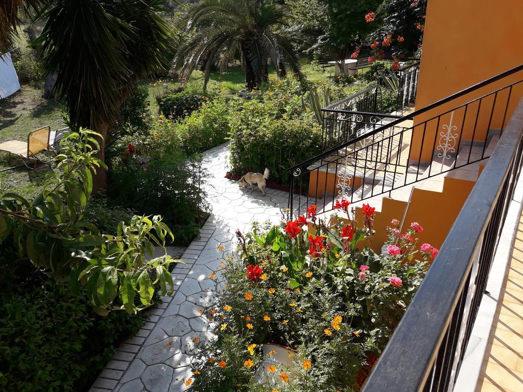 Punta Studios Dimitris المظهر الخارجي الصورة