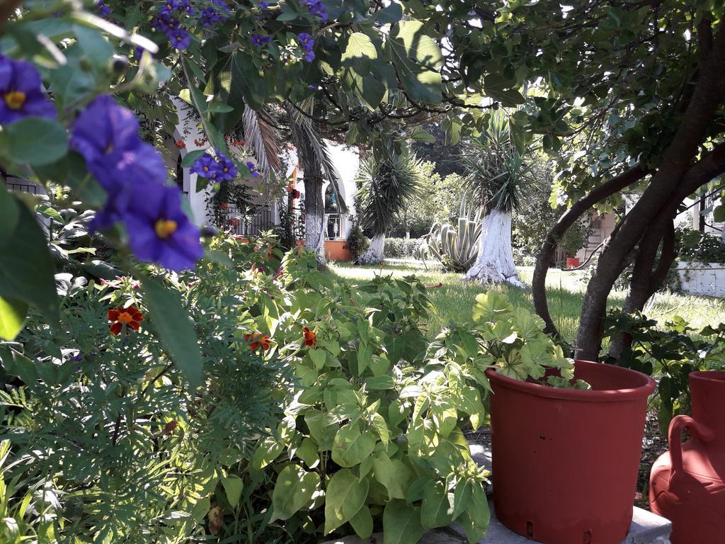 Punta Studios Dimitris المظهر الخارجي الصورة