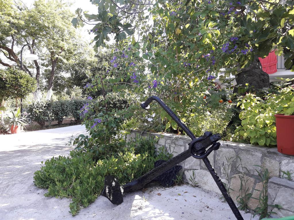 Punta Studios Dimitris المظهر الخارجي الصورة