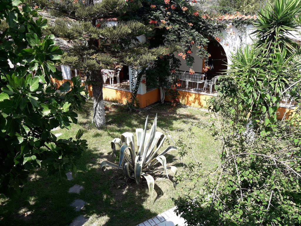 Punta Studios Dimitris المظهر الخارجي الصورة