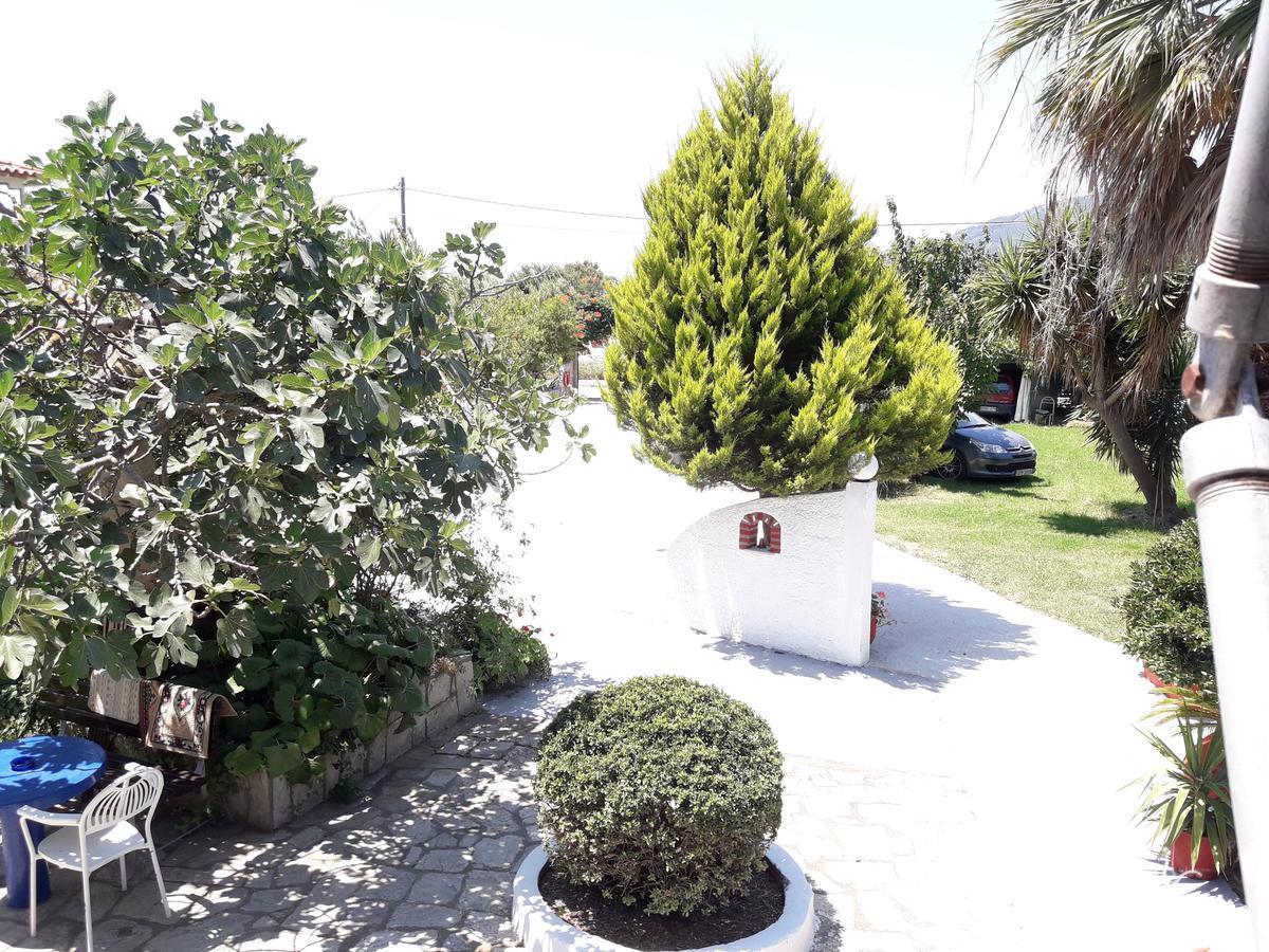 Punta Studios Dimitris المظهر الخارجي الصورة