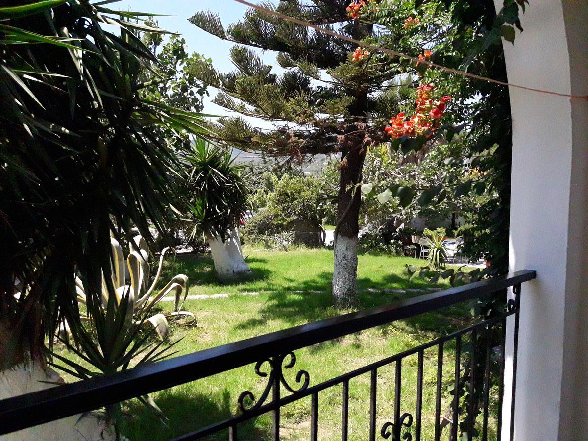 Punta Studios Dimitris المظهر الخارجي الصورة